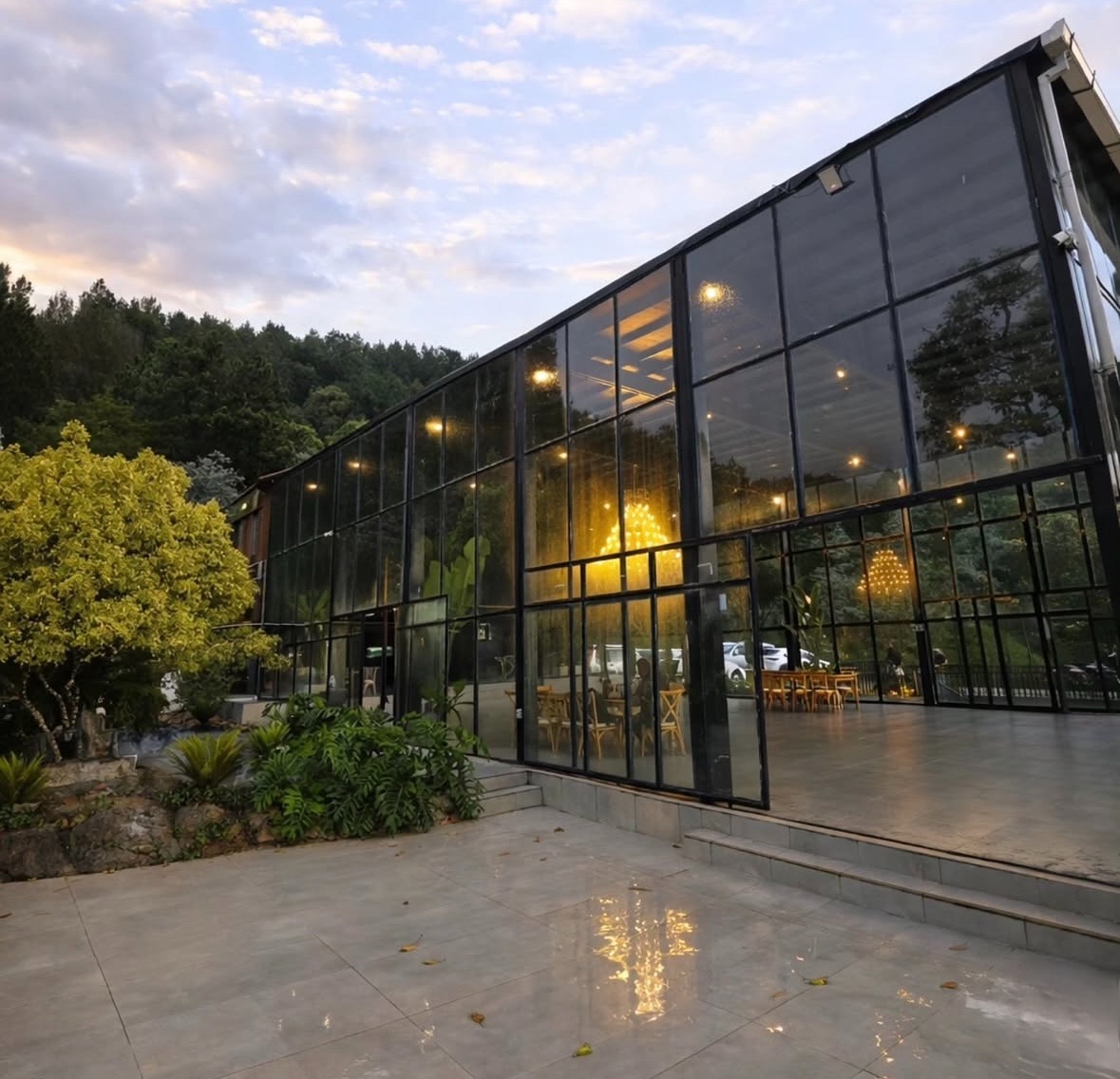 Fachada de vidrio del lugar Montview rodeada de bosque al atardecer